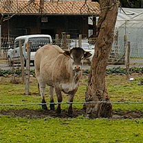 ESAT Ferme de la Haute Lande